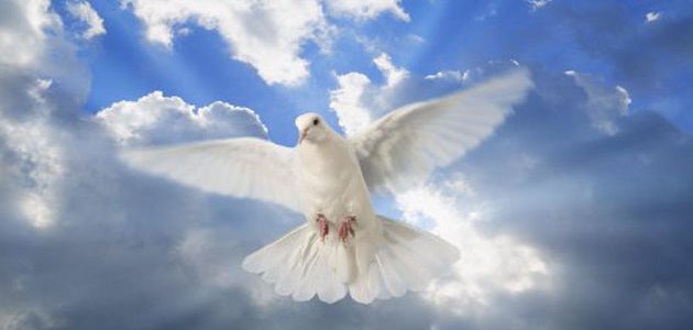 El Espíritu Santo en el Islam y el cristianismo. Entre Dios (su tercera persona) y el ángel